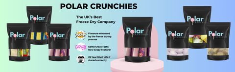 Freeze Dried Drumstick Lollies - 6 pcs